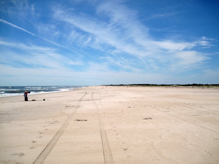 The endless beach